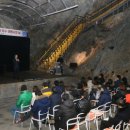 미미여행사 이미지