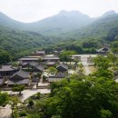 옥천농협 삼산지점