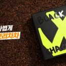 블랙차차