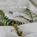 새 언약(새 포도주)과 새 사람(새 부대) (눅5:17-39) 이미지