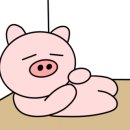 광주한우정육점 이미지