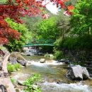 항골계곡 이미지