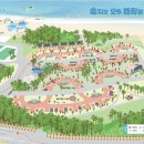 송지호 오토캠핑장 이미지