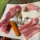 꾸어바666 이미지