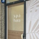 테라피하라 | 연신내 마사지 스파하라 은평점 릴렉싱 업 바디테라피 만족 후기