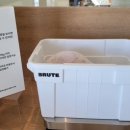 개들랜드 이미지