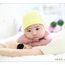 홍한비