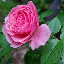 호성한의원 이미지