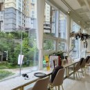살롱더함 브로우 이미지