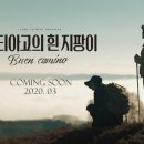 흰 지팡이의 꿈 이미지