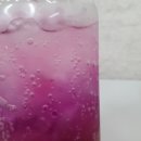 양양양