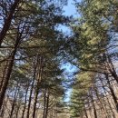 2월 16일 월요일 서울방 : 마음의 여유 이미지