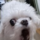 오션파크나인호텔 이미지