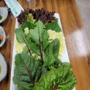 내포우렁쌈밥 | 충남 홍성 내포신도시 맛집 투어 신선한 쌈 채소가 가득한 우렁쌈밥 솥밥 맛집 홍성 우렁마을 방문기