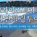 주식회사 힐링투어 이미지