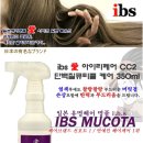 아이비에스 (IBS) 이미지