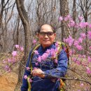 매봉산장 이미지