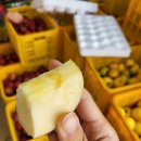 금당골농장 이미지