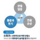 파파메디