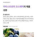 카라스페이스 네이버블로그