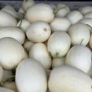 하늘그린
