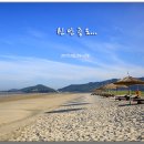 신안목장2 이미지