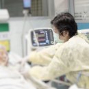 주식회사 팀케어 네이버블로그