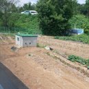 갈현농장 이미지