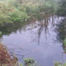 봉화목장 이미지