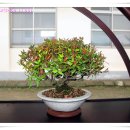 가덕중학교 이미지