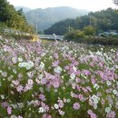 슬로우타임