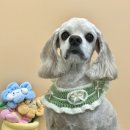 도루몽실 이미지