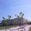 다사공원 이미지