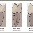 현대치과산업 이미지