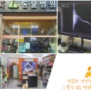 쥬시동물병원 이미지