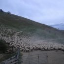 선망목장 이미지