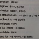 Asian-Americans becoming more Politically Engaged 점점 더 정치적으로 참여하는 아시아계 미국인들(2/2) 이미지