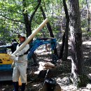 추원모차골 이미지