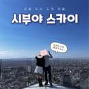 스카이메딕 | 시부야스카이 전망대 후기 (가는법, 홈페이지 예약 변경, 캐리어 보관법 정리)