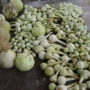 샘밭농장 이미지