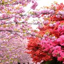완산-23 이미지