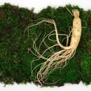 청록한의원 이미지