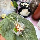 [종로3가역 맛집] 최애 또간집 종로 야장 도연회포차 내돈내산 후기