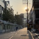 안덕 | 깔끔함의 정석 🤍 서촌 미쉐린 맛집 안덕 만둣국 후기