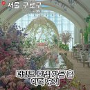 식스텐 비프(610 Beef) | [서울 구로구] 신도림 더 링크 호텔 가든 홀 하객 후기 신부대기실 뷔페
