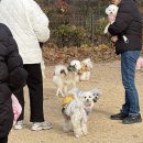 써브웨이 고양탄현점 이미지