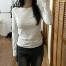 단정하개 이미지