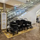 애견# | 스타필드 하남 애견유모차 대여 &amp; 식사 후기