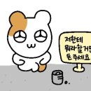 넛셸 | 가을뮤트 아묻따 매입하세요. 헤라 블러쉬 넛셸 내돈내산 후기.