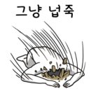 당산 금호어울림 네이버블로그